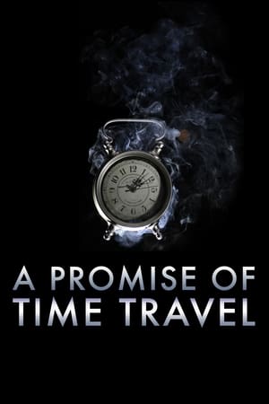 A Promise of Time Travel 2016 Dual Audio | Hindi Full Movie Web-DL [750MB]
