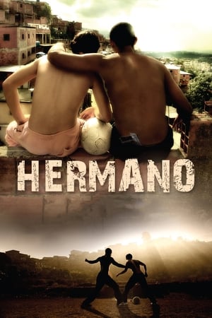 Hermano 2010 Dual Audio | Hindi Full Movie BluRay [1.2GB]