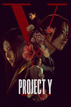 Project Y 2026 - Korean Dual Audio WEB-DL | Hindi Full Movie